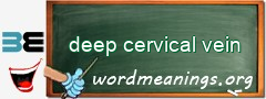 WordMeaning blackboard for deep cervical vein